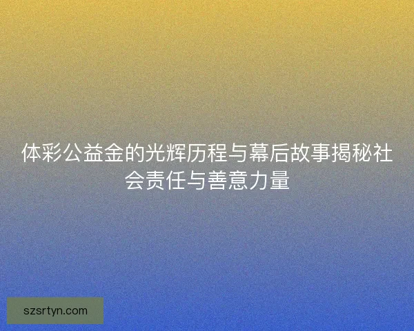 体彩公益金的光辉历程与幕后故事揭秘社会责任与善意力量
