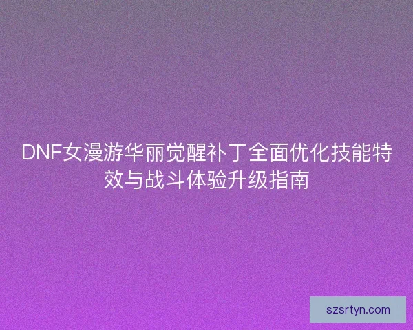DNF女漫游华丽觉醒补丁全面优化技能特效与战斗体验升级指南
