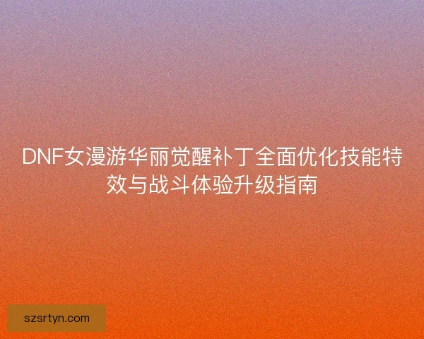 DNF女漫游华丽觉醒补丁全面优化技能特效与战斗体验升级指南