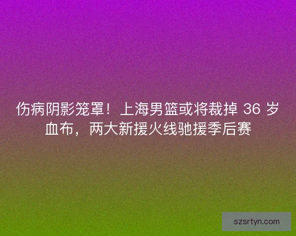 伤病阴影笼罩！上海男篮或将裁掉 36 岁血布，两大新援火线驰援季后赛