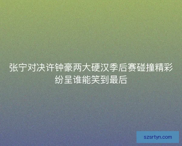 张宁对决许钟豪两大硬汉季后赛碰撞精彩纷呈谁能笑到最后